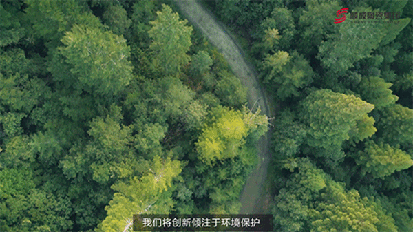 你不能错过 2019，四大核心关键词！