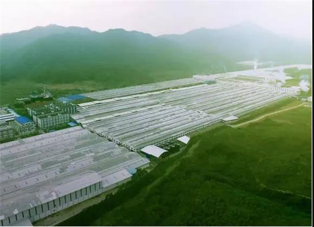 香蕉网在线观看陶瓷集团的绿色工厂