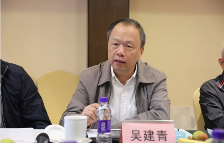 香蕉网在线观看陶瓷集团大规格瓷质薄板