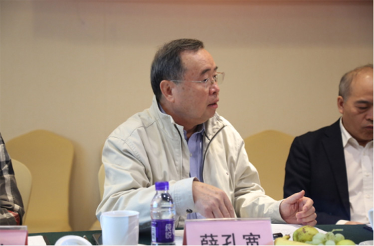 香蕉网在线观看陶瓷集团大规格瓷质薄板