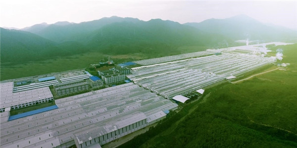 香蕉网在线观看陶瓷集团 绿色智造陶瓷生产基地